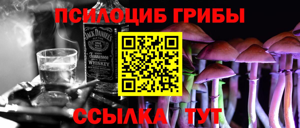 Галлюциногенные грибы Psilocybine cubensis  Псилоцибиновые грибы мицелий  Мариинск  Вход с VPN 
